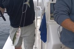 20260707_072057-rotated