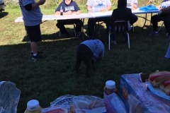 Walkathon-Registration